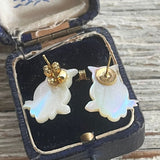 【ピアス】フクロウ　ミミズク　owl マザーオブパール　60’sイギリス