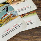 【セット】オランダ　Jumbo ヴィンテージ知育カード　Freddies 掛け算カード　激レア